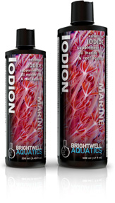BW IODION 250 ML